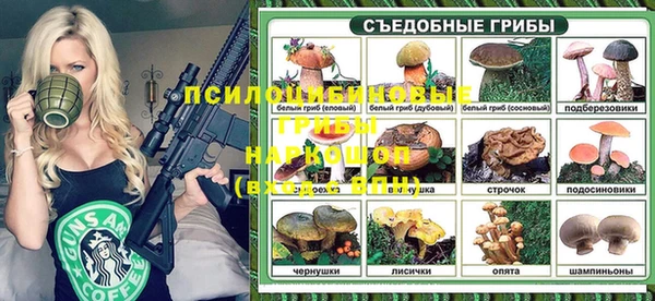 дживик Алексеевка