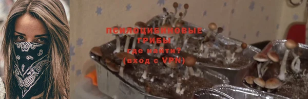 метадон Алексин